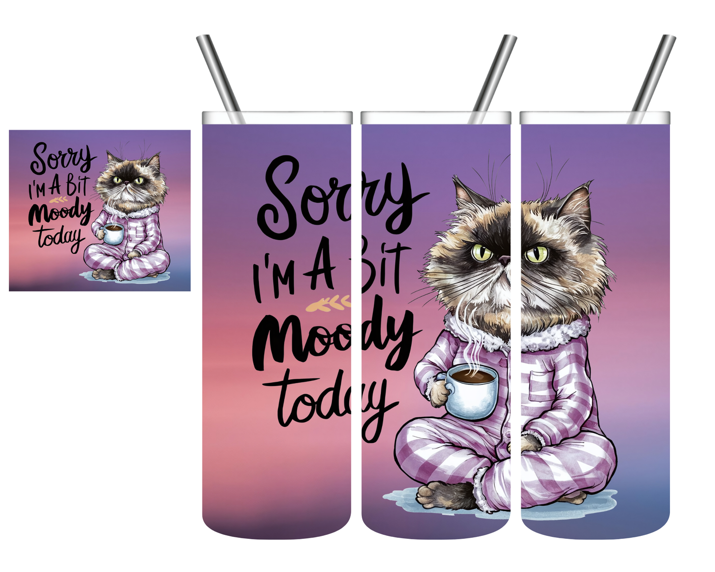 Sorry I'm a Bit Moody Today Cat 20 oz Tumbler