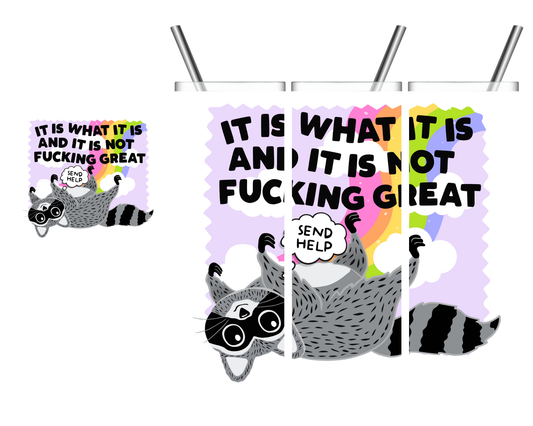 It Is What It Is And It's Not Fucking Great Raccoon 20 oz Tumbler