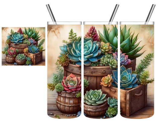 Succulents 20 oz Tumbler