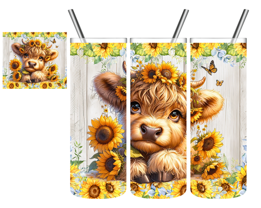 Baby Highland Sunflower 20 oz Tumbler